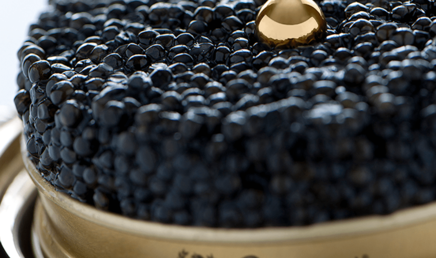 lam_calvisius_caviar