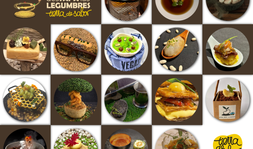 mosaico-finalistas-2026-4 mosaico-finalistas-2026-4